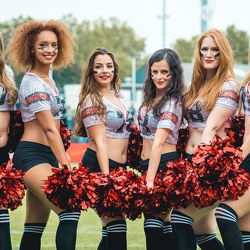 Pantherettes